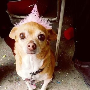 Meet your Posher, Jaqueline